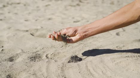 close up of a hand scooping up sand and pouring through fingers on a sunny beach