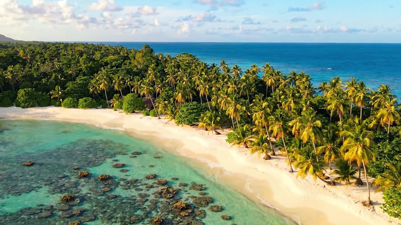 Vista aerea mozzafiato di una spiaggia tropicale circondata da palme lussureggianti e acque cristalline color turchese con una barriera corallina nella laguna poco profonda.