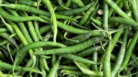 fresh organic green chilli from farm close up from different angle