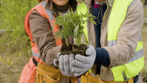 close-up view of caucasian man and african american woman activists holding small trees in front of the camera