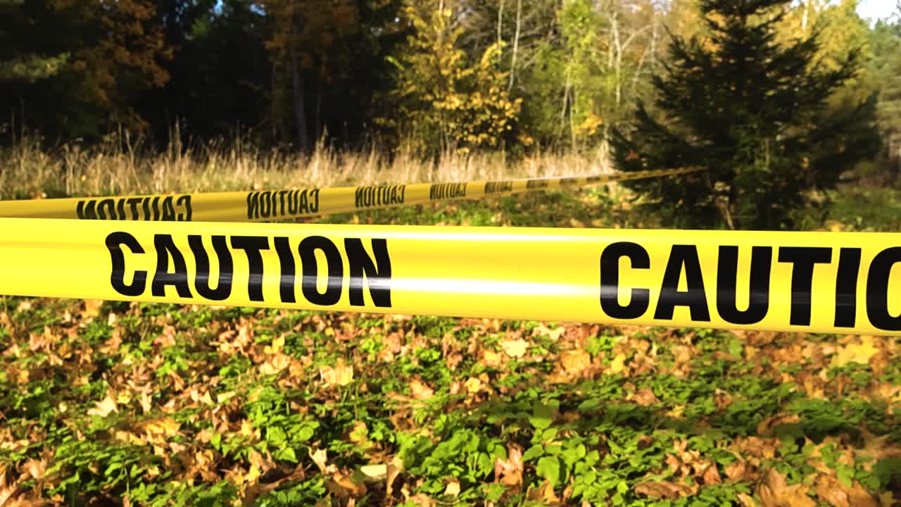 Bright yellow caution tape stretches through a sunny autumn woodland, creating a tense and mysterious scene with shallow depth of field and fallen leaves