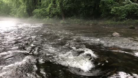 Río-Que-Fluye-A-Través-De-Un-Bosque-Denso