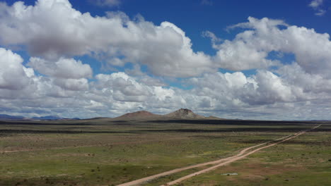 green grass growing on the mojave desert, north america
