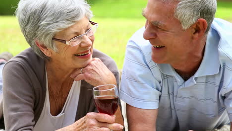 Afectuosa-Pareja-De-Ancianos-Relajándose-En-El-Parque-Tumbada-Sobre-Una-Manta