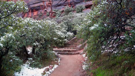 Slow-motion-push-in-of-trees-covered-in-snow-revealing-a-staircase-nearby-in-Zion-National-Park