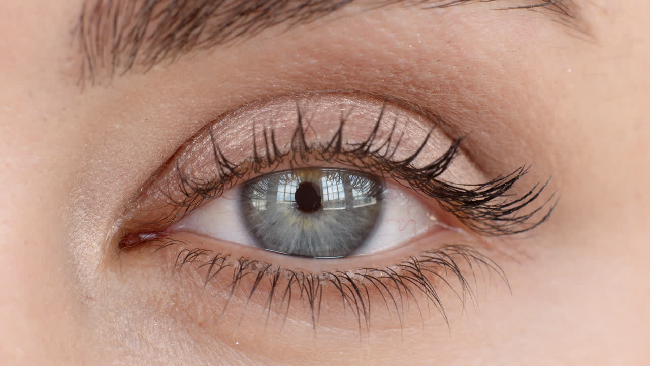 가까운 거시 눈 개방 인간 아이리스 아름다운 파란 눈 건강한 시력 인식 개념