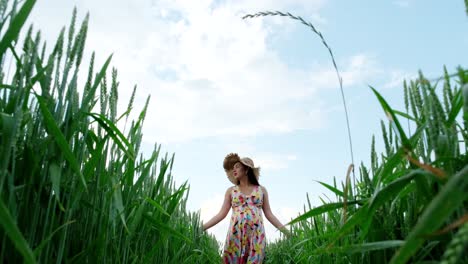 pregnant girl walking in a wheat field