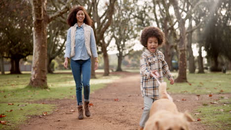 mother and child walking their dog in the park