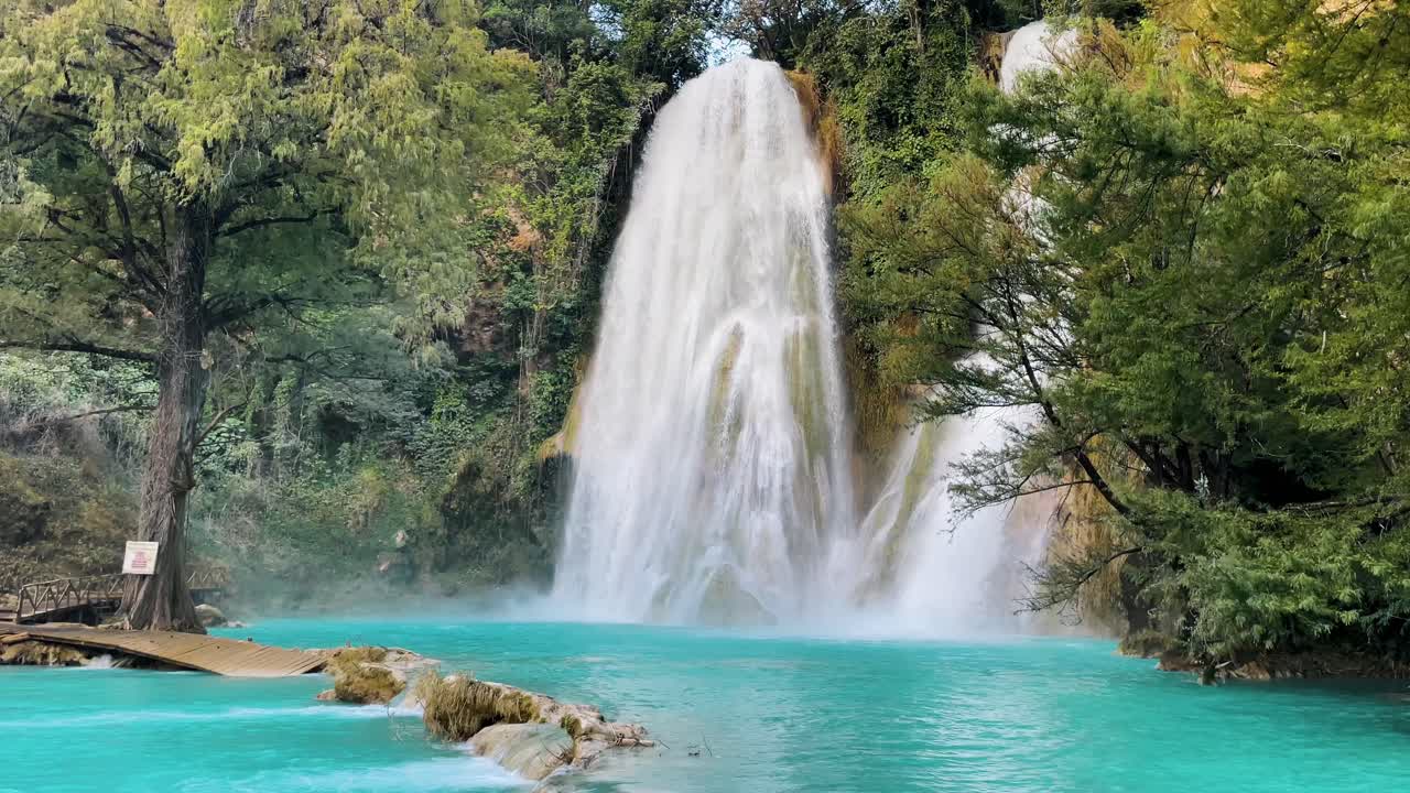 Fiume e stagno dalle acque turchesi idilliache con bellissime cascate nella giungla messicana