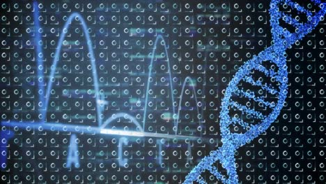 Animation-of-dna-strand-spinning,-rows-of-circles-and-scientific-data-processing