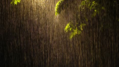 4k footage of heavy raining with high speed camera