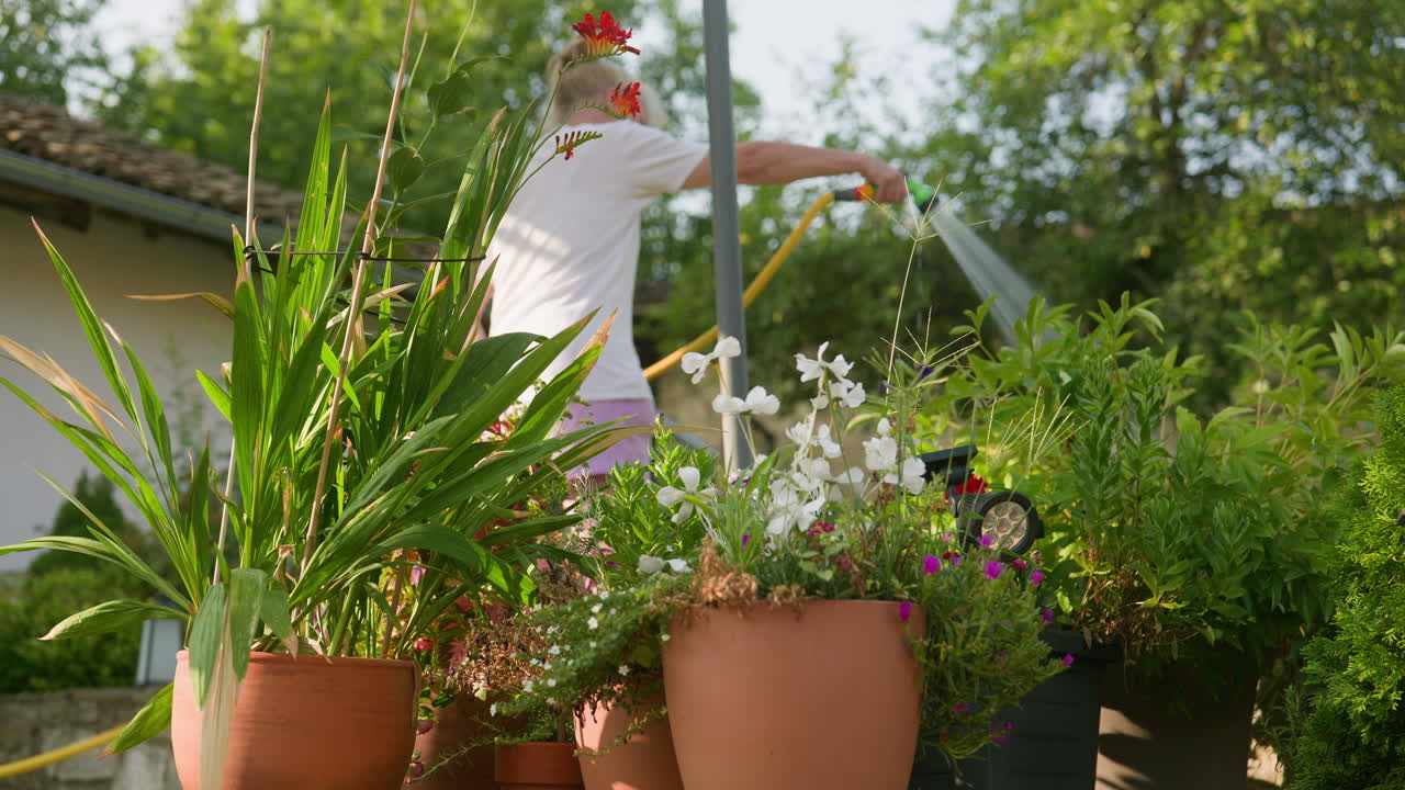 una mujer jardinera riega plantas de patio en maceta en una cálida mañana de verano de bajo ángulo