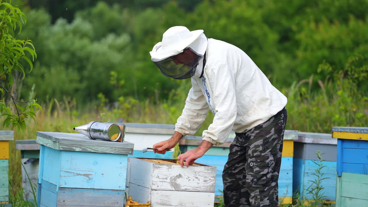 Hardworking beekeeper checks beehives in an apiary. Man in protective white uniform at garden with many beehives.