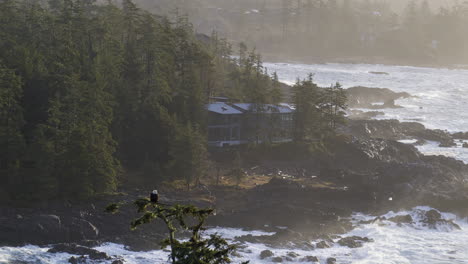 Drohnenvideo-Bei-Sonnenuntergang-In-Ucluelet,-British-Columbia,-Kanada-über-Dem-Meer-Und-Dem-Wald