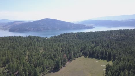 Eine-Langsame-Neigung-Der-Luft-Durch-Den-Wald-Zeigt-Einen-Großen-See-In-Der-Nähe