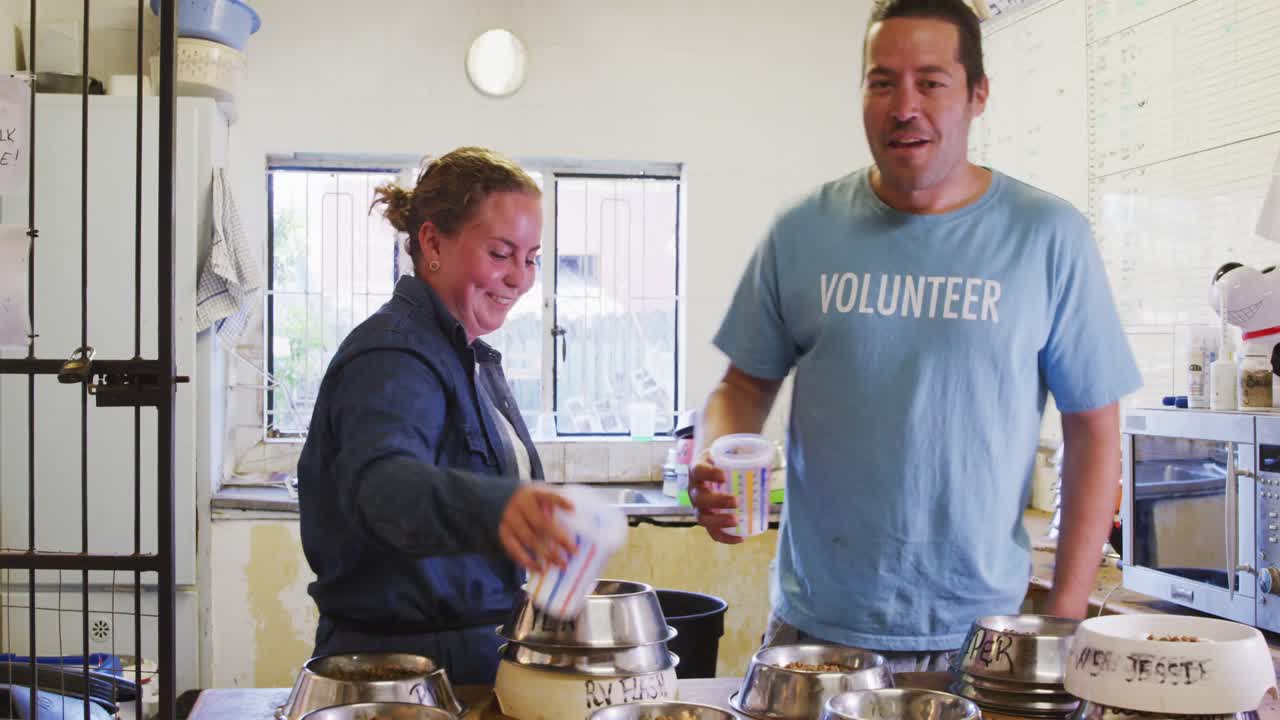 voluntarios en un refugio para perros