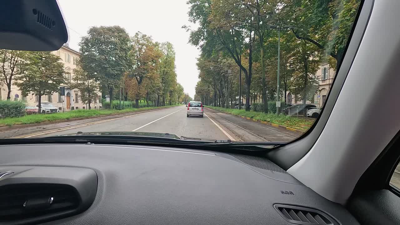 나무로 둘러싸인 피드몬트 거리를 따라가는 차