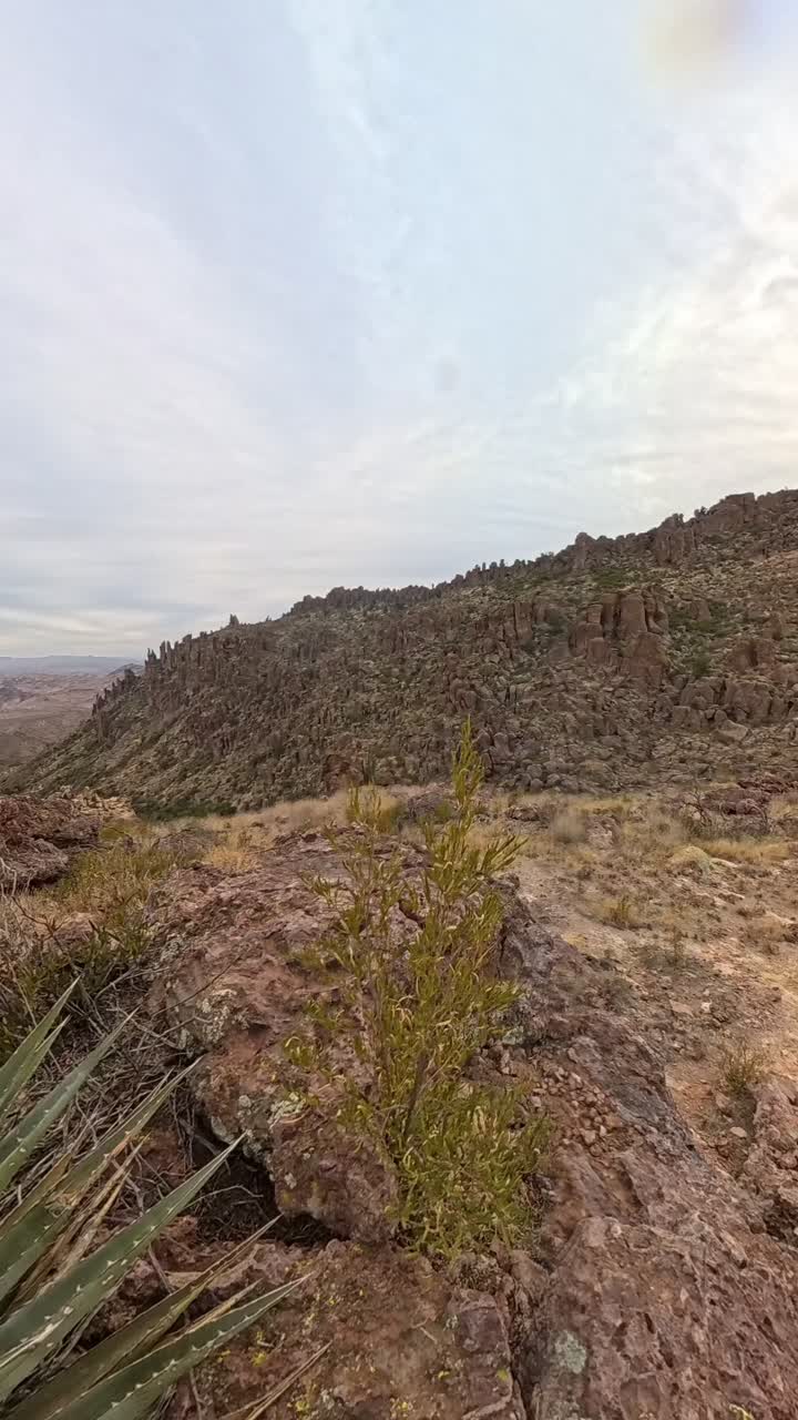 Vertical Time lapse of Arizona agave plants and rock formation at sunset.