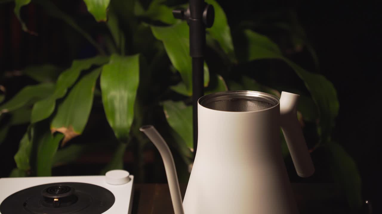 신선한 물과 초록색 긴 잎 식물의 배경으로  비를 채우십시오