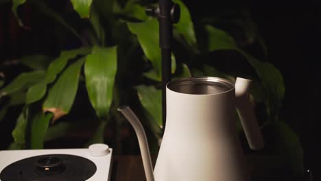 fill white kettle with fresh water and green long leaves plant in background