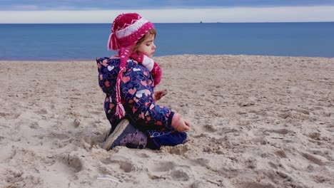 young curious caucasian girl in warm winter jumpsuit searching for seashells and amber rock in beach sand on cold autumn winter day