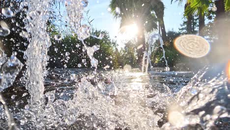 water splashing in sunlight at melbourne zoo