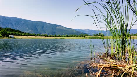 A-serene-view-of-a-lake-in-the-Crimean-Mountains,-with-a-clear-blue-sky-and-lush-green-vegetation