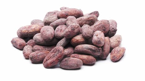 granos de cacao aislados en una rotación de bucle blanco y sin costuras
