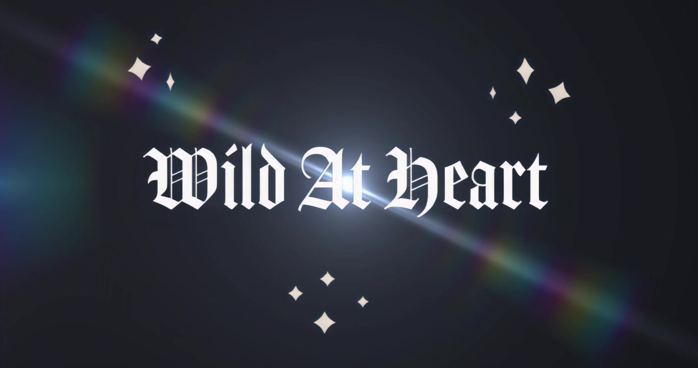 Lens flare entering frame moving across Wild At Heart text highlighting text sparkles shining