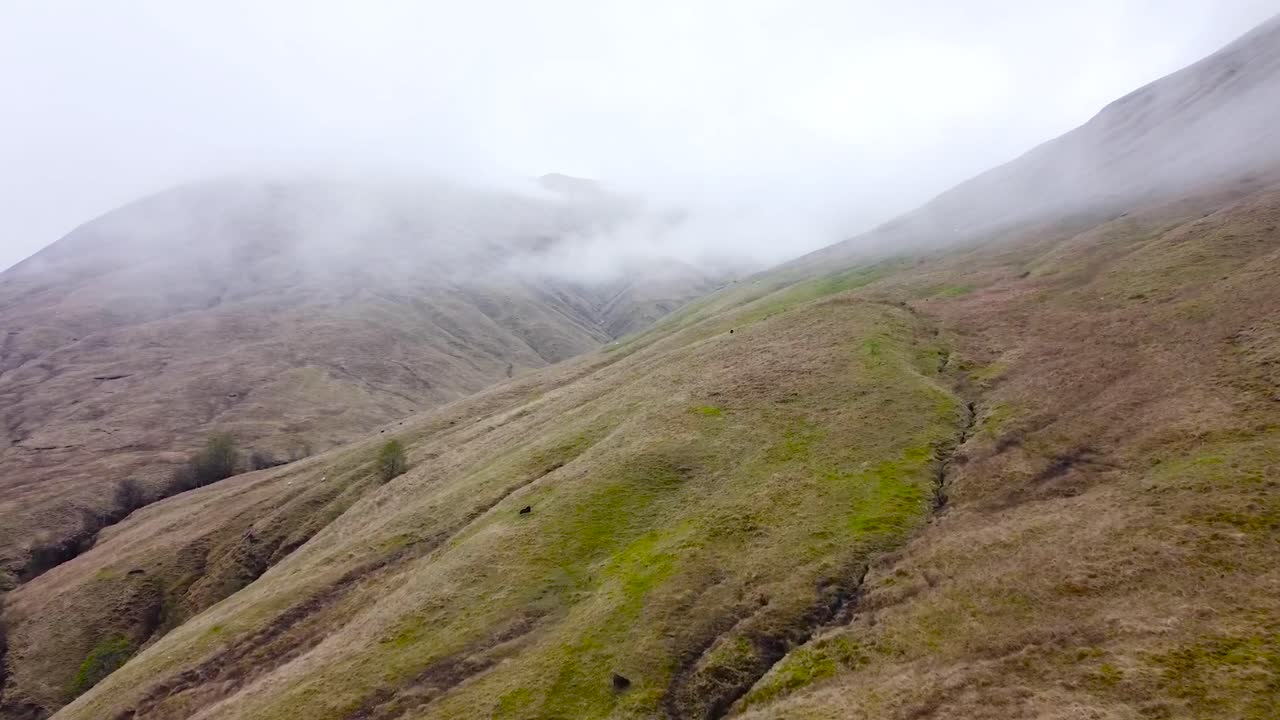 Aerial drone footage of brown and green grassy and moss covered scottish highland hills or mountains that have white fluffy clouds hovering low to the ground between them during a misty and foggy day.