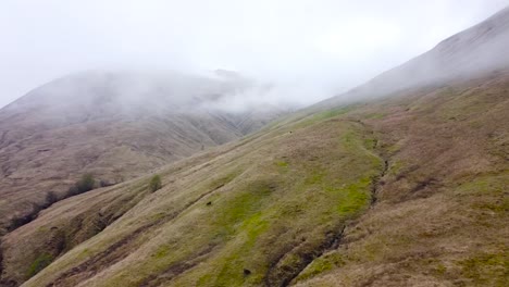 aerial drone footage of brown and green grassy and moss covered scottish highland hills or mountains that have white fluffy clouds hovering low to the ground between them during a misty and foggy day.