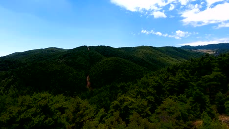 aerial view beautiful forest and road move left. 4k