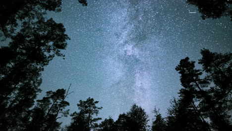 Experimente-El-Maravilloso-Asombro-De-Las-Bandas-De-La-Vía-Láctea-Entre-Los-árboles-Del-Bosque.