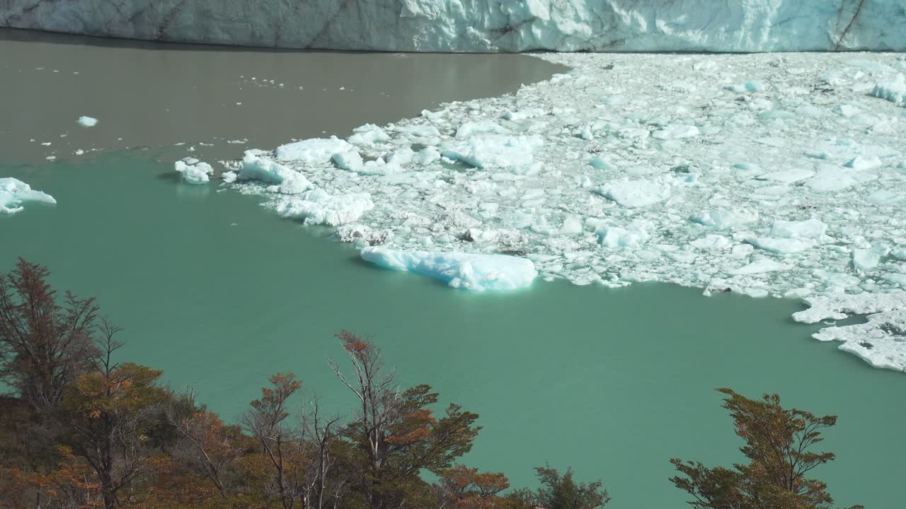 페리토 모레노 빙하 북쪽 옆에 떠 있는 작은 얼음 조각들