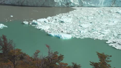 small pieces of ice floating beside north part of perito moreno glacier