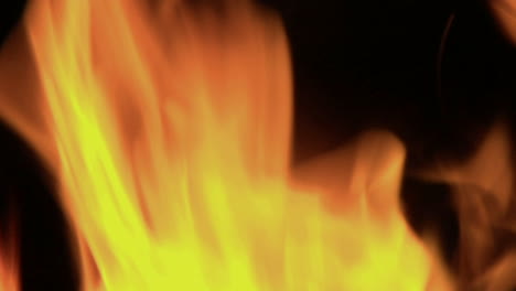 llamas naranjas parpadeantes arden en un fuego ardiente 1