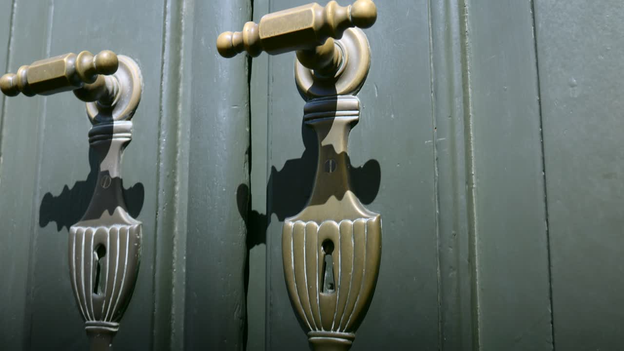 Trieste close-up of ornate brass door handles, highlighting Italian craftsmanship and sturdy construction. Warm light reveals patina, textured wood, and classic design