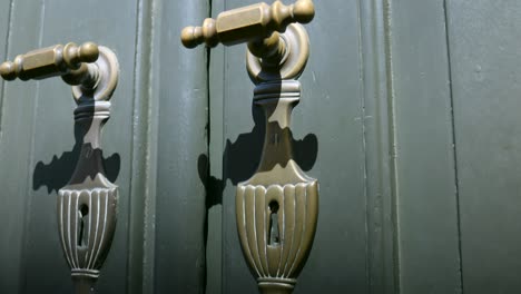 trieste close-up of ornate brass door handles, highlighting italian craftsmanship and sturdy construction. warm light reveals patina, textured wood, and classic design