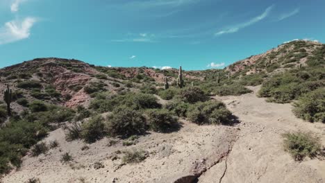 Dron-Fpv-De-Corto-Alcance-Volando-Cerca-De-Cactus-En-Medio-De-Un-Desierto