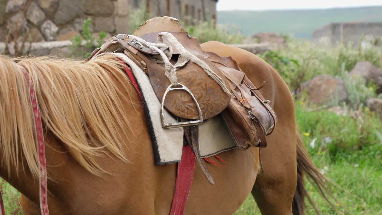 Panning with rider, focus shifts to saddled horse in foreground