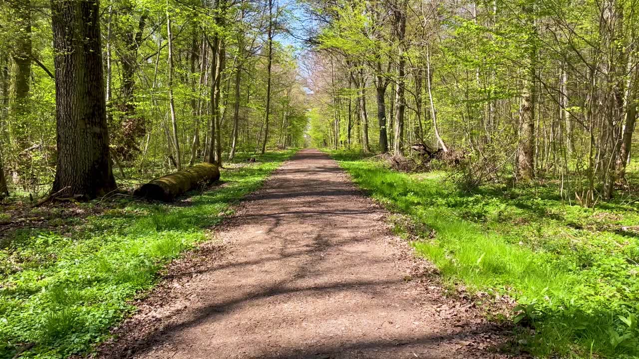 POV walking through forest and empty dirt road Germany