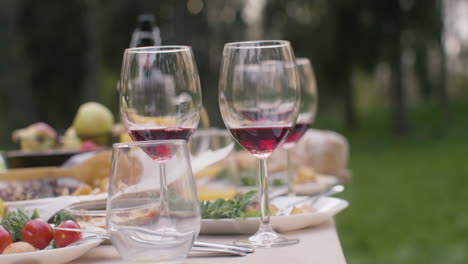 close up view of two wine glasses on a table during an outdoor party in the park