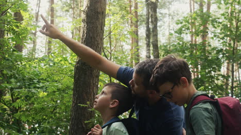 Familienausflug-In-Den-Wald