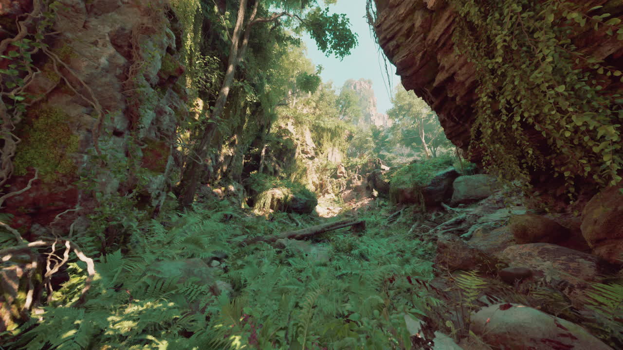 el cañón de la selva exuberante