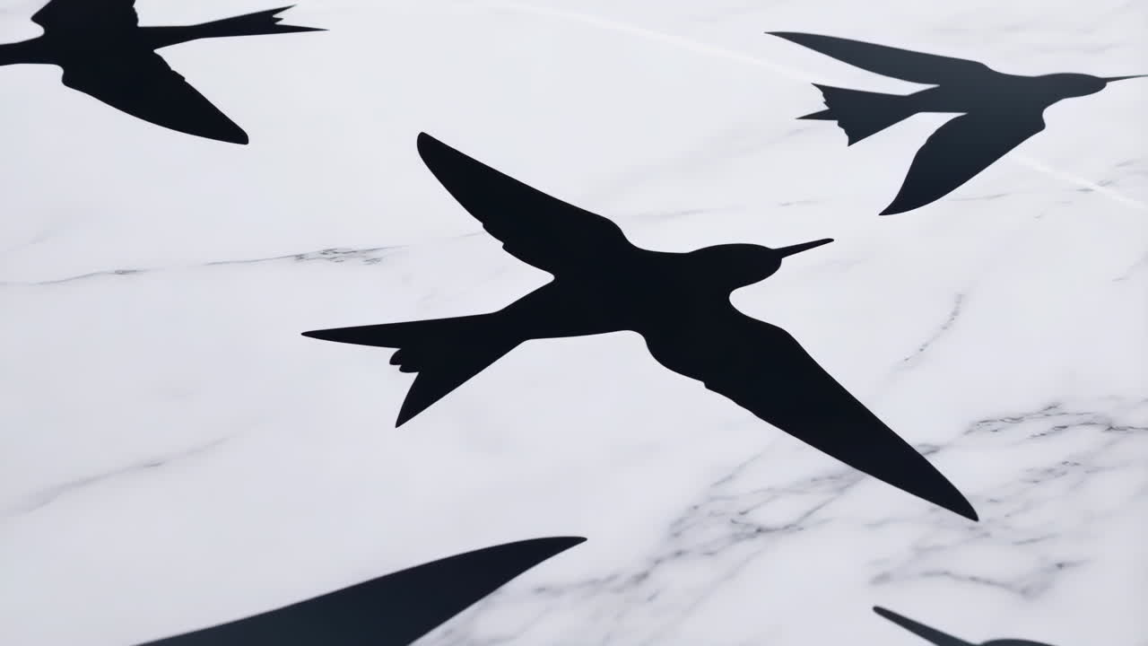 Black Bird Silhouettes on Marble Background