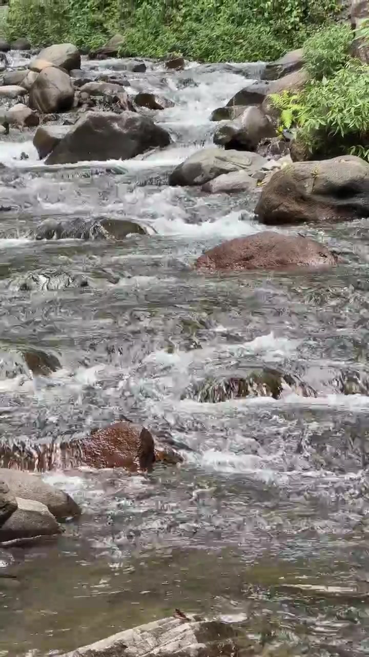 Air Jernih Mengalir di Atas Batu di Aliran Sungai Pegunungan