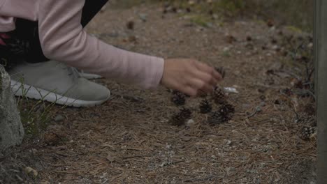 girl plays with pinecones in the forest