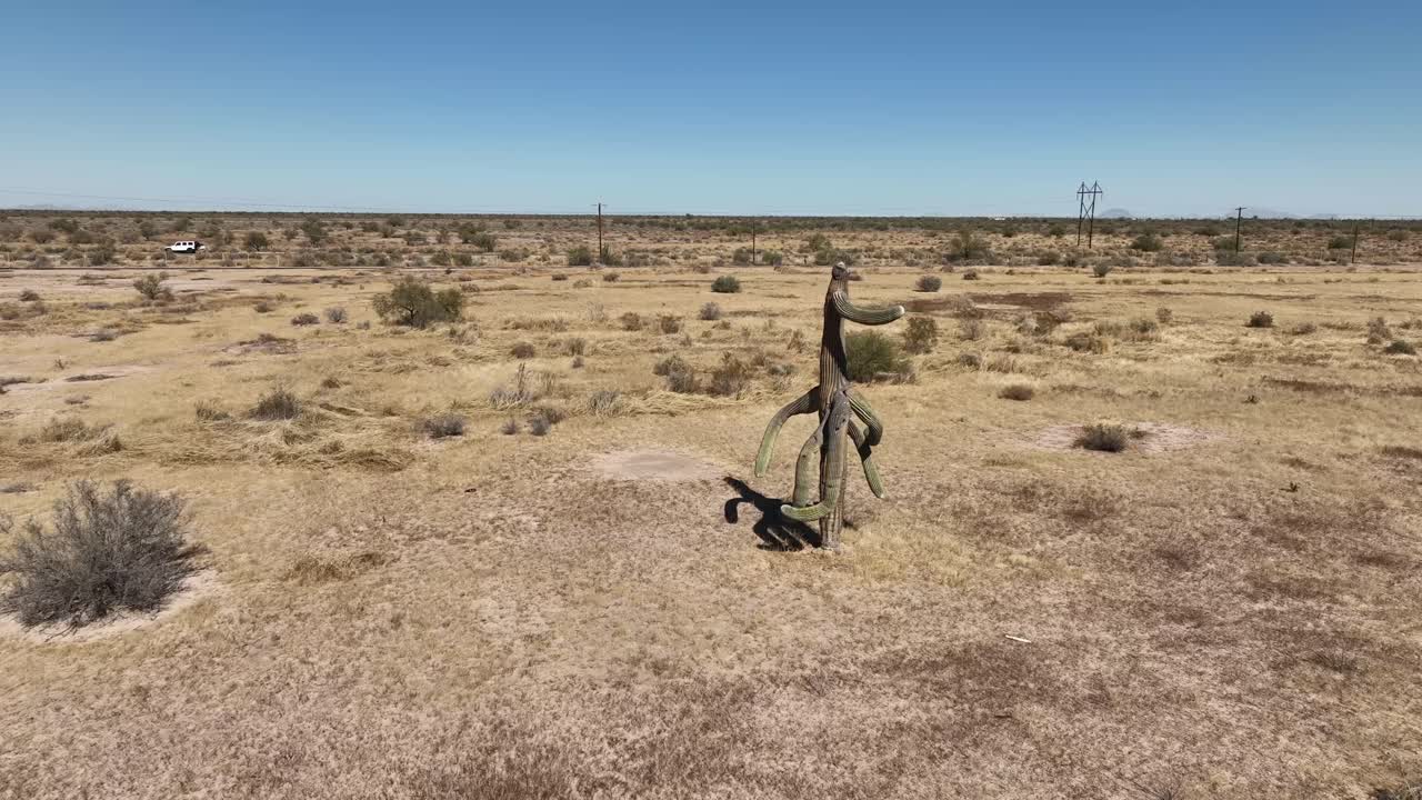 carne picada en la mesa de madera de árbol