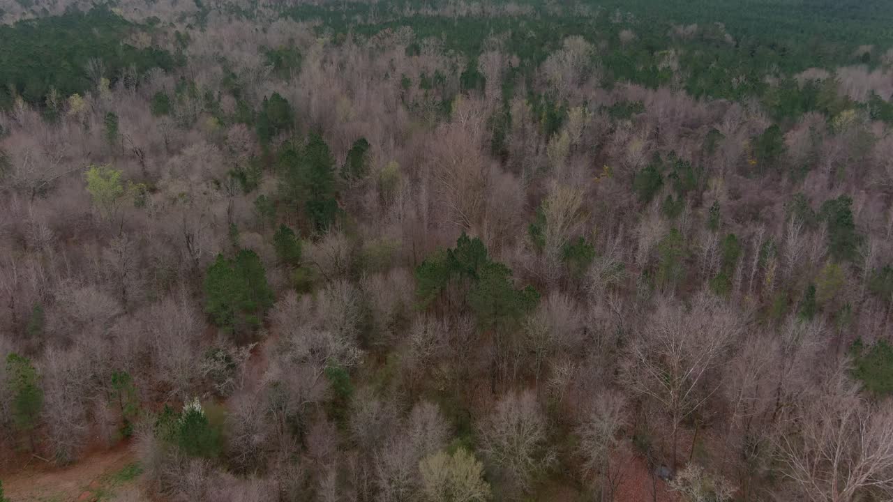 antena del área boscosa del bosque en eatonton, georgia