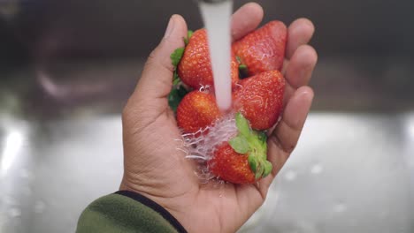 washing strawberries